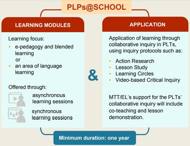 Professional Learning Programme Structure